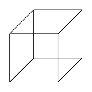 Necker Cube illusion example